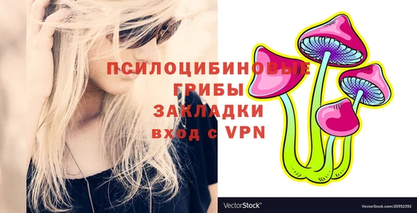 прущая мука Гусь-Хрустальный