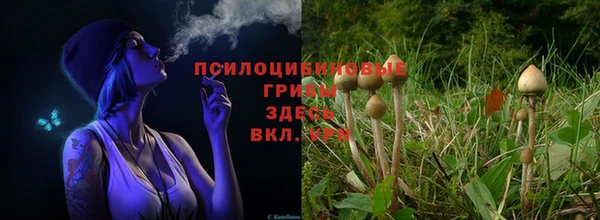 COCAINE Гусиноозёрск