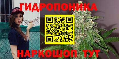 дурь Гусиноозёрск