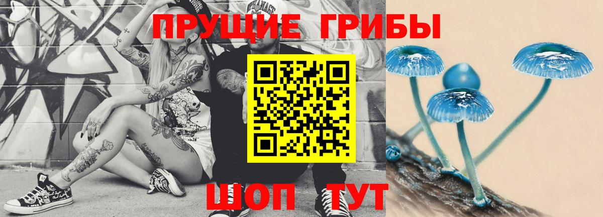 Псилоцибиновые грибы Psilocybine cubensis Заволжье