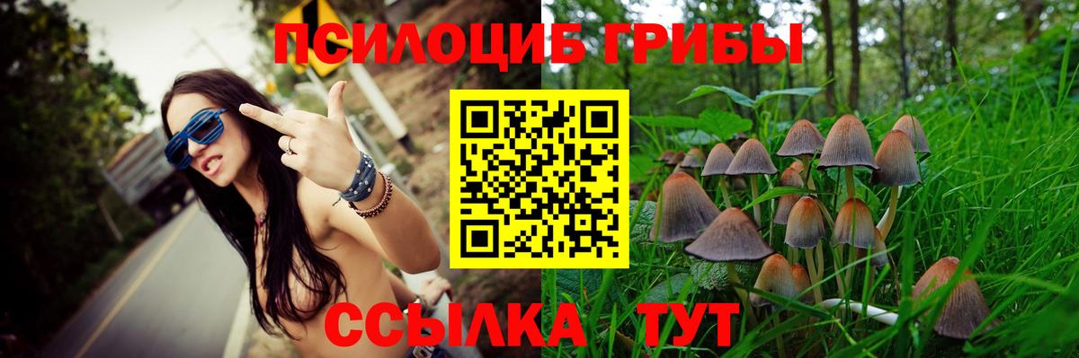 Заволжье  Галлюциногенные грибы Magic Shrooms  Вход с VPN 