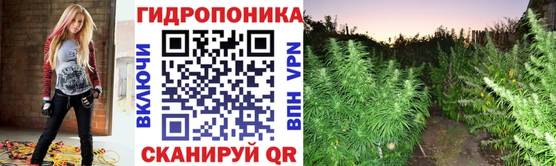 кракен вход  Заволжье  Бошки Шишки сатива 